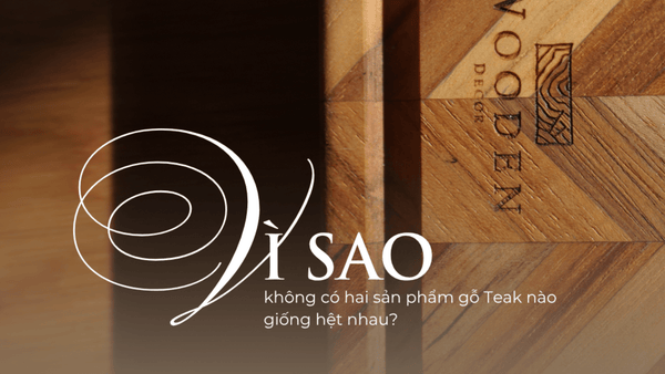Vì Sao Không Có Hai Sản Phẩm Gỗ Teak Nào Giống Hệt Nhau? | Wooden Decor - Wooden Decor